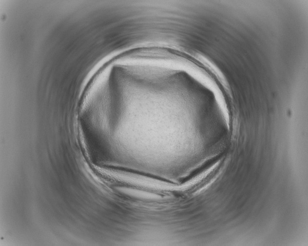 X0000085841340200704132053