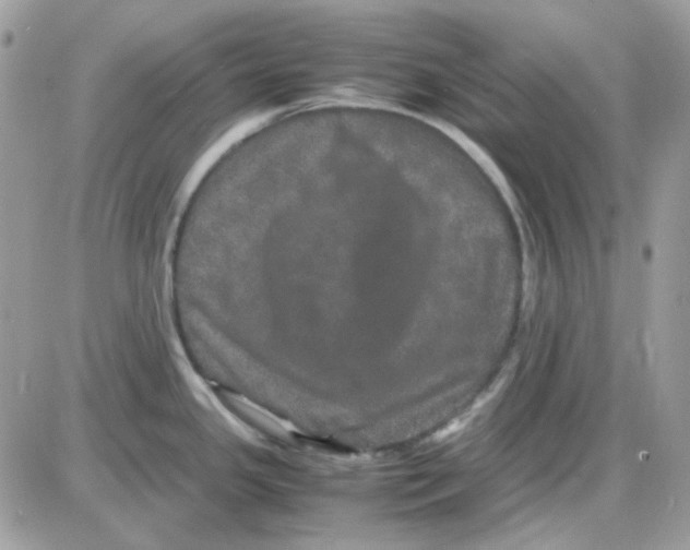 X0000085841341200704132053