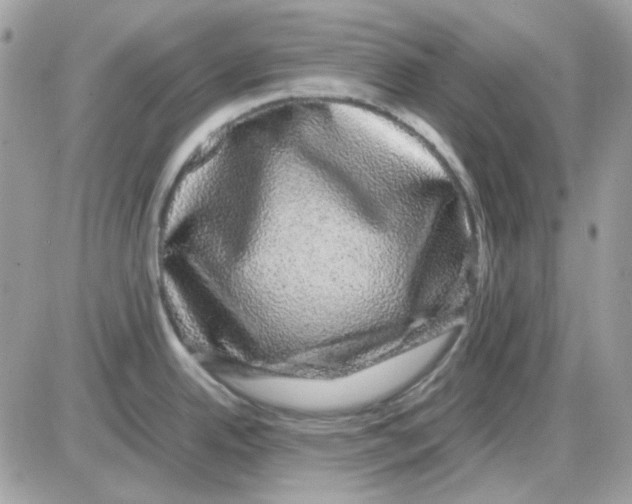 X0000085841342200704132053