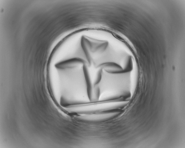 X0000085841343200704132053