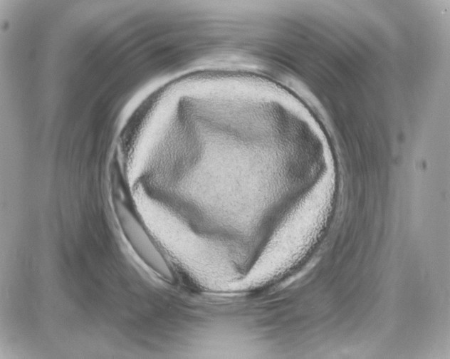 X0000085841344200704132053