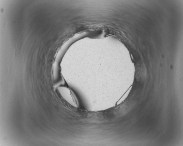 X0000085841345200704132053