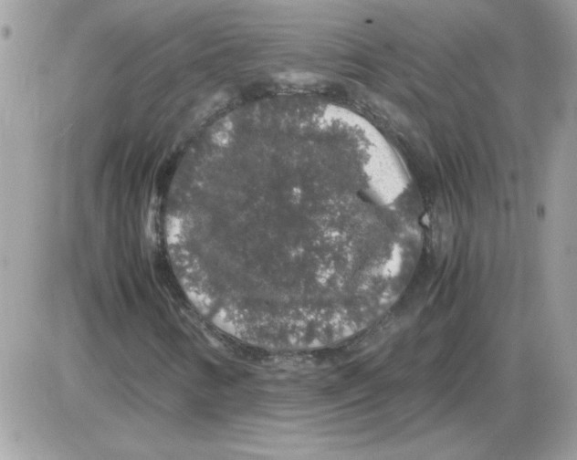 X0000085841346200704132053