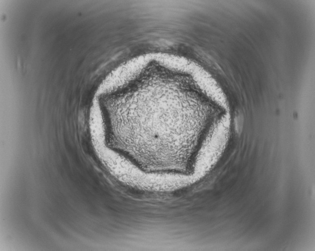 X0000085841347200704132053