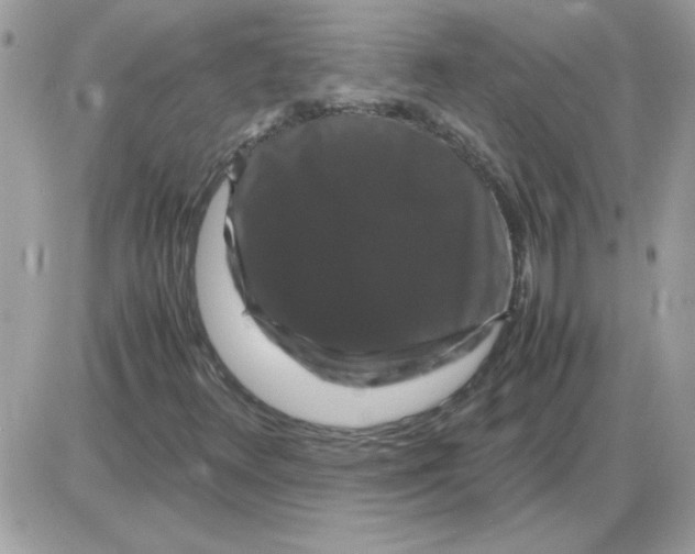 X0000085841348200704132053