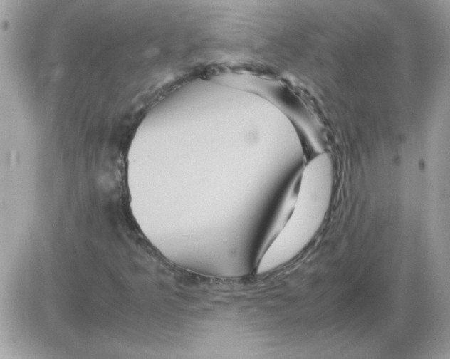 X0000085841349200704132053