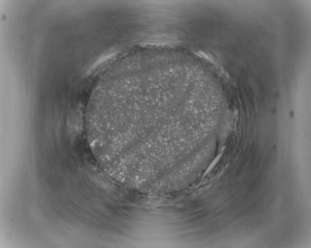 X0000085841350200704132053