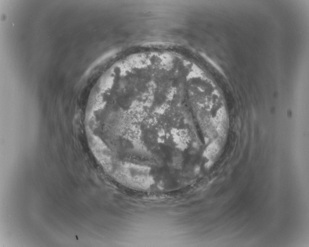 X0000085841351200704132053