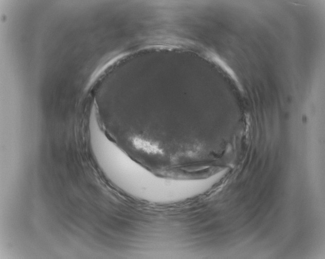 X0000085841352200704132052