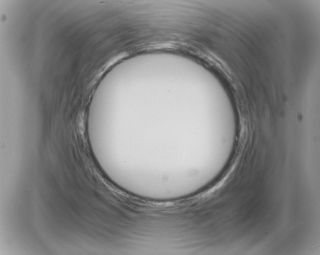 X0000085841353200704132052