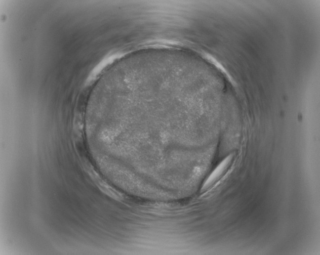 X0000085841355200704132052