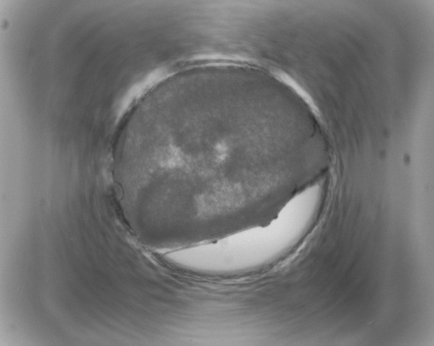 X0000085841357200704132052