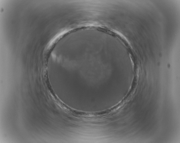 X0000085841359200704132052