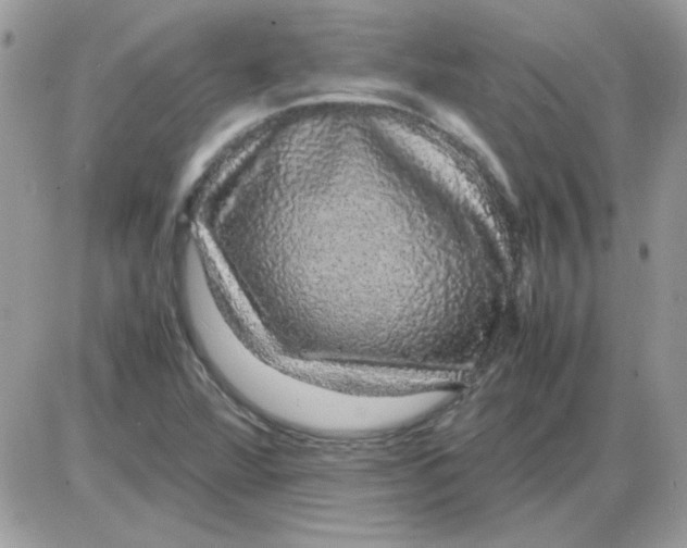 X0000085841360200704132052