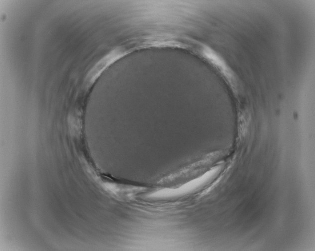 X0000085841361200704132052