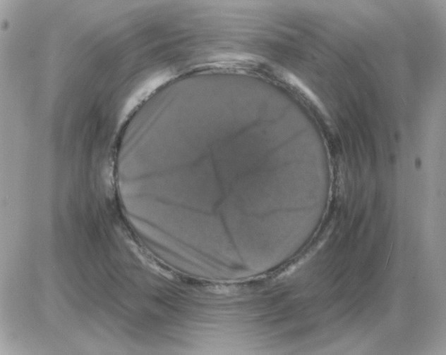 X0000085841362200704132052