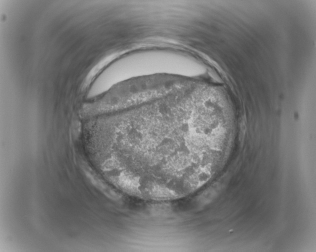 X0000085841363200704132052