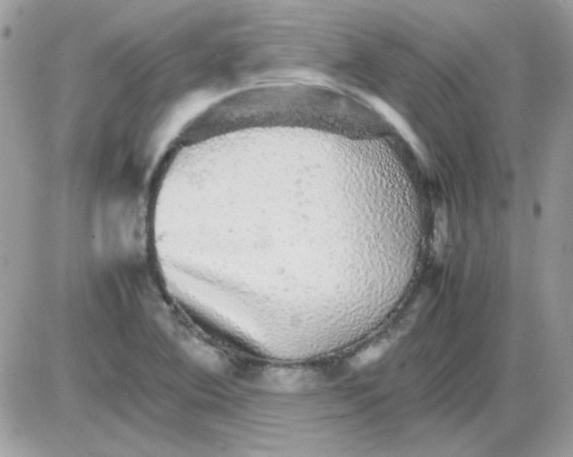 X0000085841364200704132052