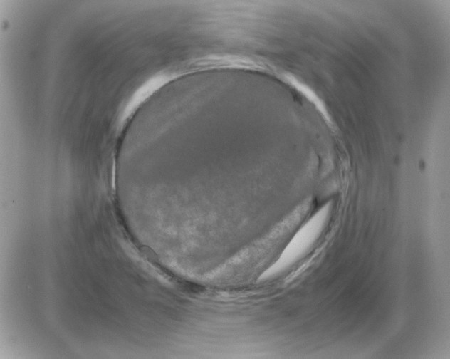 X0000085841365200704132052