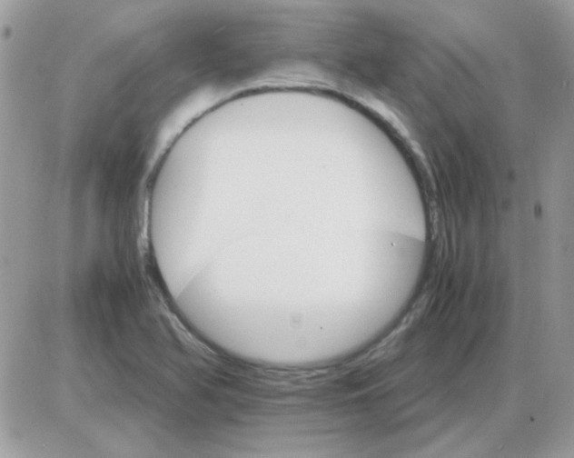 X0000085841366200704132052