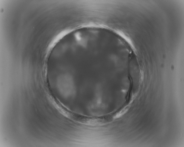 X0000085841367200704132052