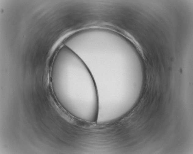 X0000085841368200704132052