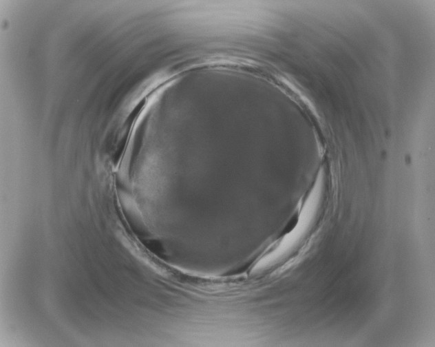 X0000085841369200704132052