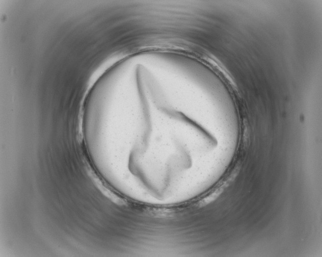 X0000085841370200704132052