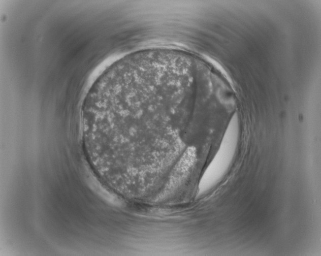 X0000085841371200704132052