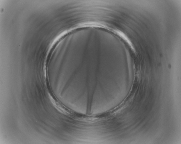 X0000085841372200704132052