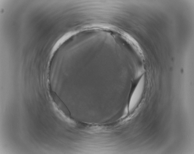 X0000085841373200704132052