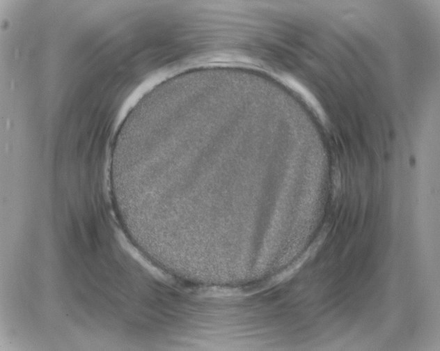 X0000085841374200704132052