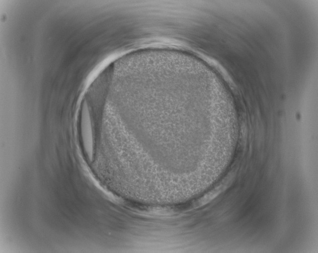 X0000085841375200704132052