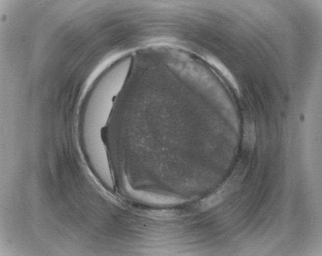 X0000085841376200704132052