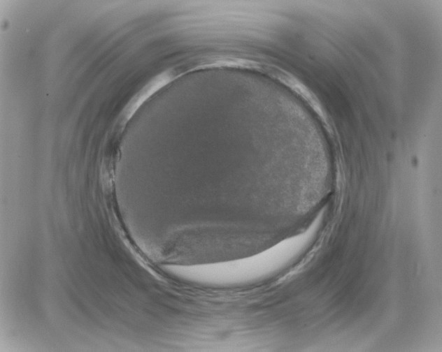 X0000085841377200704132052