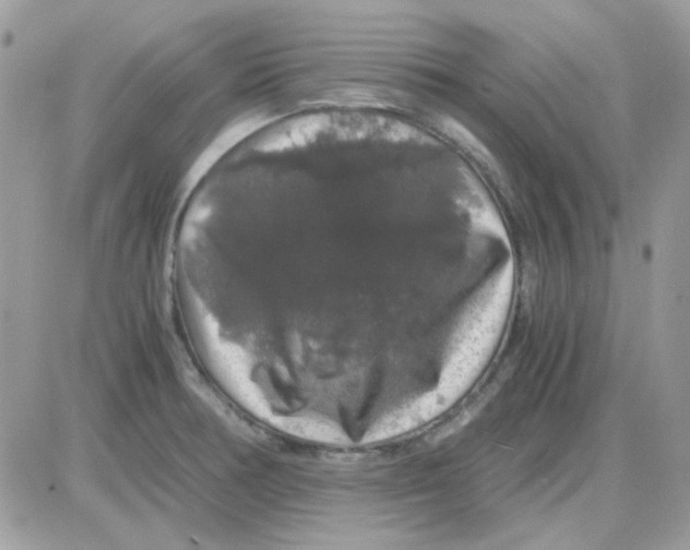 X0000085841378200704132052