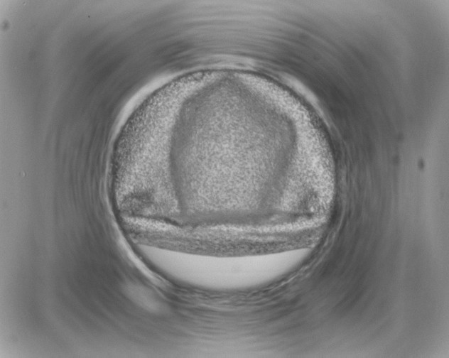 X0000085841379200704132052