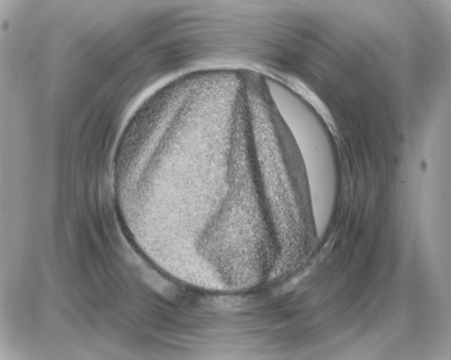 X0000085841380200704132052