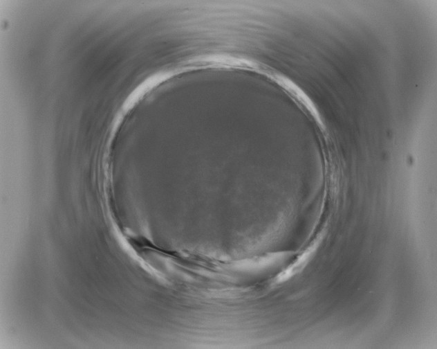 X0000085841381200704132052