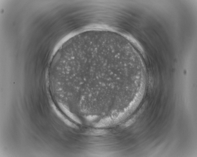 X0000085841382200704132052