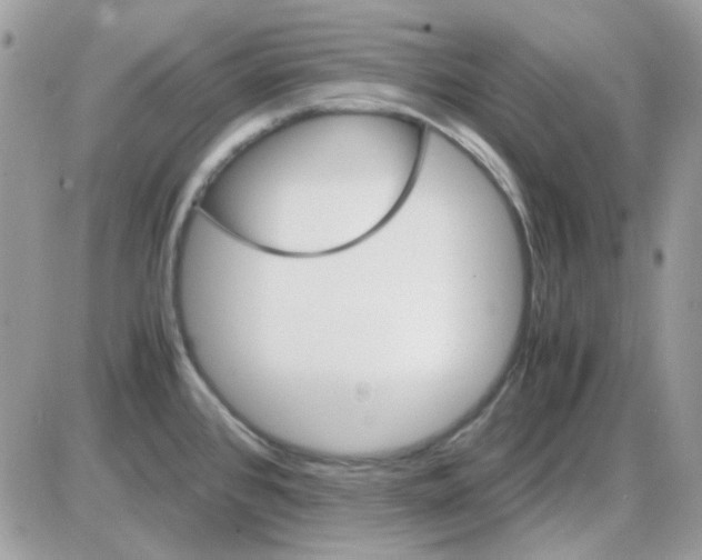 X0000085841384200704132052