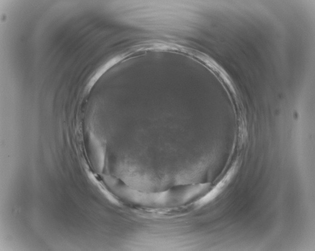 X0000085841385200704132052