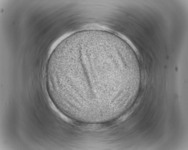 X0000085841387200704132052