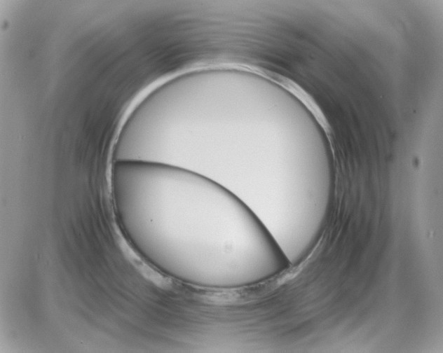 X0000085841388200704132052