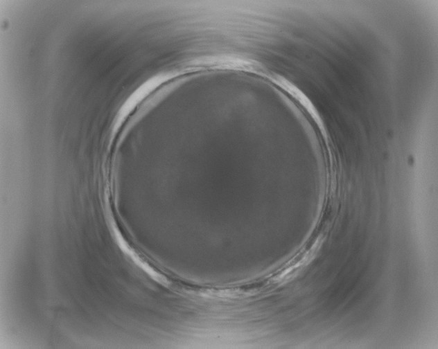 X0000085841389200704132052