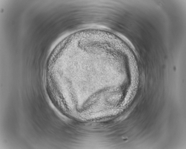 X0000085841391200704132052