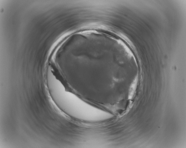 X0000085841392200704132052