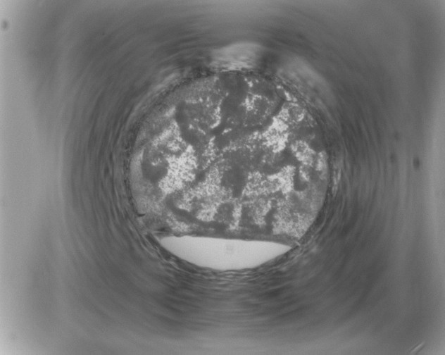 X0000085841393200704132051