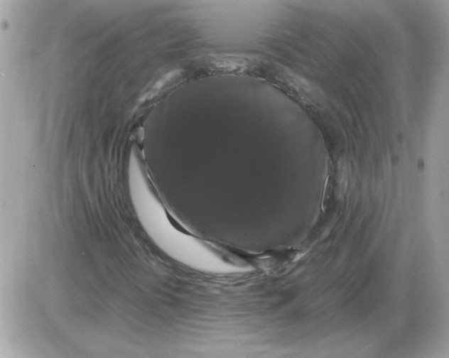 X0000085841394200704132051