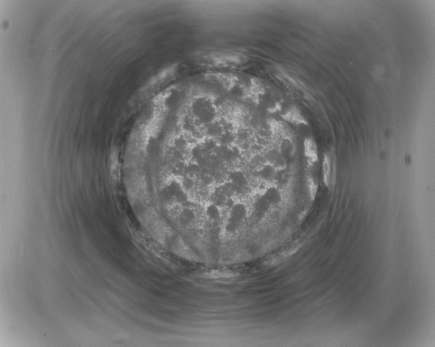 X0000085841395200704132051